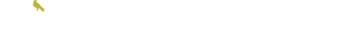 Albion