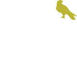 Albion
